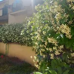 Gardenhousefirenze Familiare A 10 Min Dal Centro,possibilità Parcheggio-careggi *
