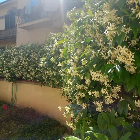 Gardenhousefirenze Familiare A 10 Min Dal Centro,possibilita Parcheggio-careggi *